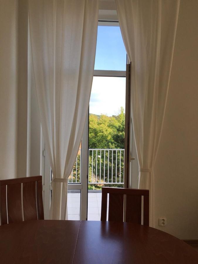 Апарт отель Mva House Teplice, Sanovsky Park Экстерьер фото